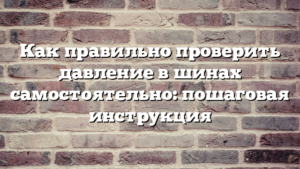 Как правильно проверить давление в шинах самостоятельно: пошаговая инструкция