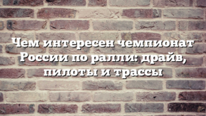 Чем интересен чемпионат России по ралли: драйв, пилоты и трассы