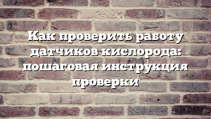 Как проверить работу датчиков кислорода: пошаговая инструкция проверки