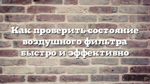 Как проверить состояние воздушного фильтра быстро и эффективно
