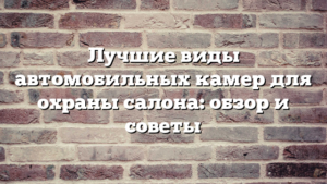 Лучшие виды автомобильных камер для охраны салона: обзор и советы