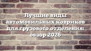 Лучшие виды автомобильных ковриков для грузового отделения: обзор 2026